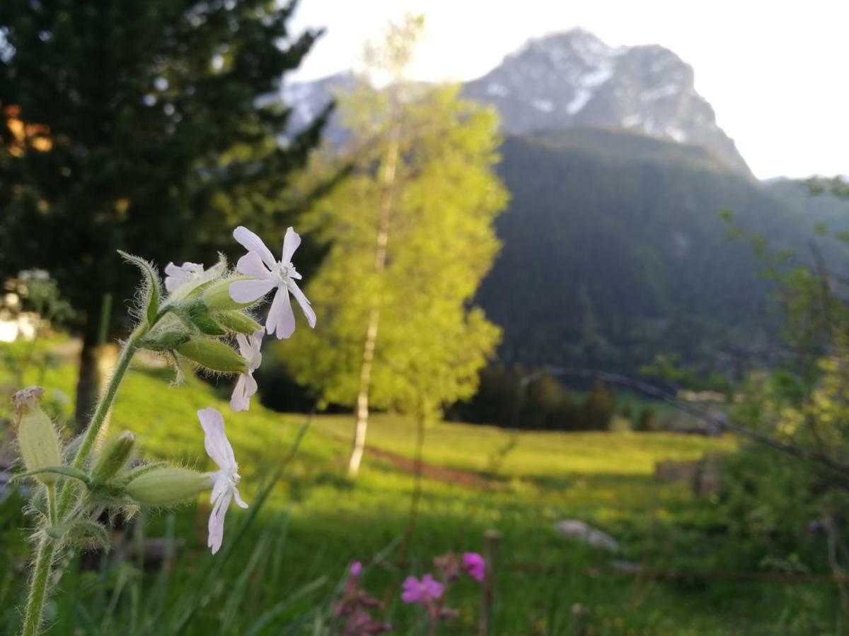 Kofelhof Villa Sexten Buitenkant foto